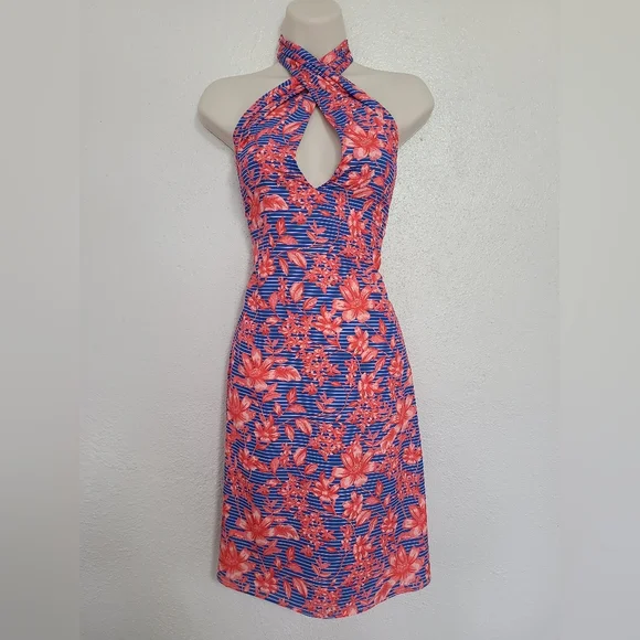 blue cheese dressing with yogurt and mayo Jewel Badgley Mischka Hayden Floral Drop Waist Maxi Dress Dress
